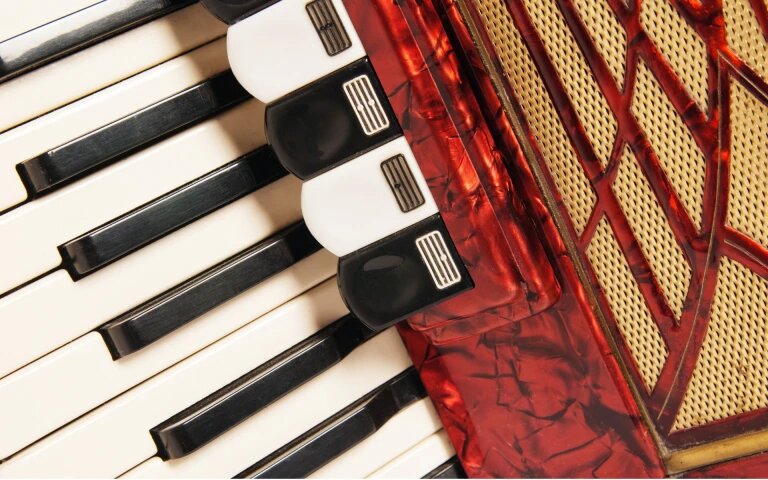 Cantus Musica - Academia de Muzica